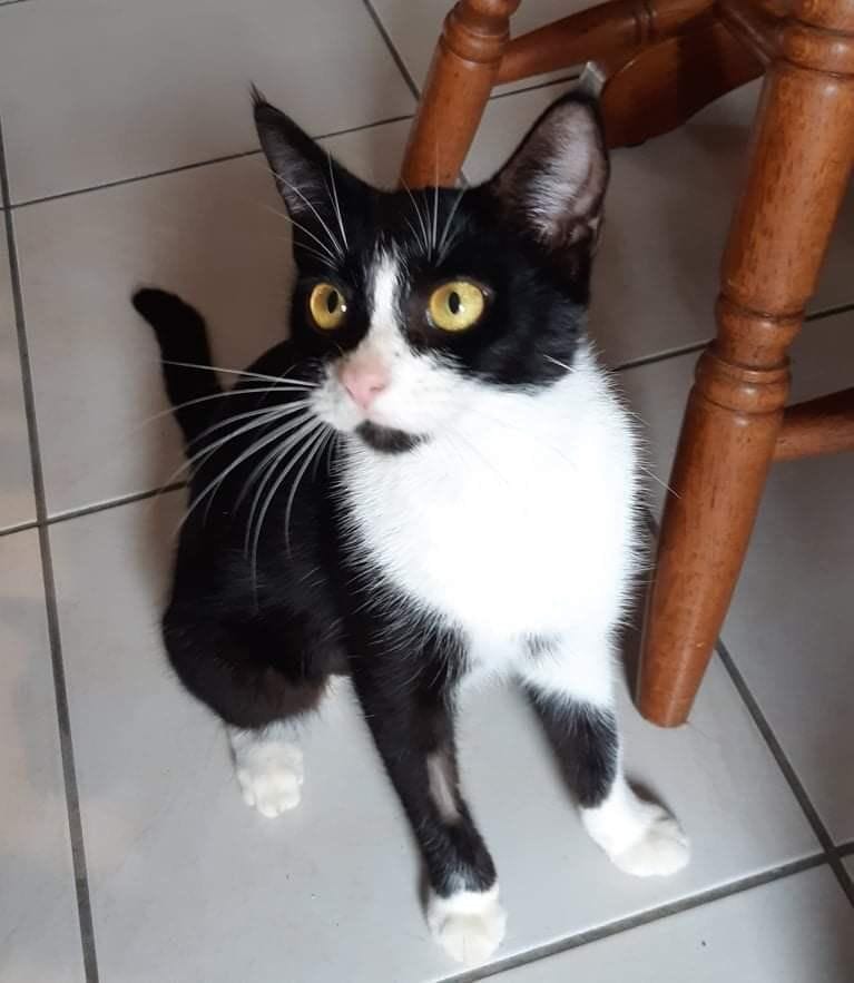 Lulu Lulu